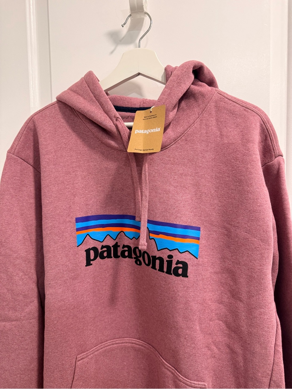 Patagonia P-6 Dusty Rose Hoodie with Multicolor Mountain Logo